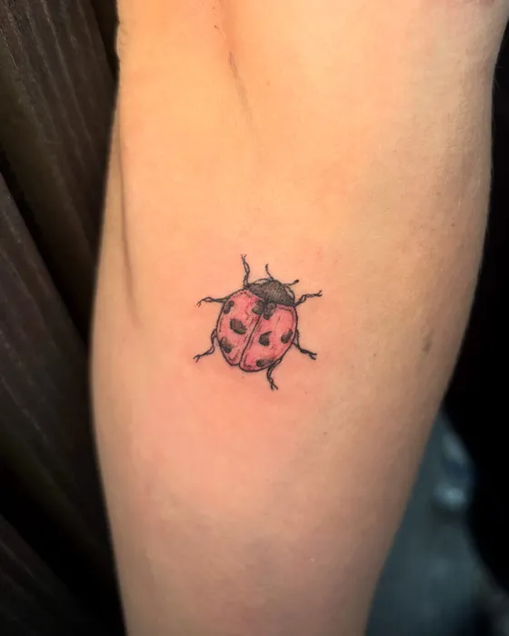 Ladybird, tattooed by Lucy at Inkwell Tattoo Studio, Blaydon