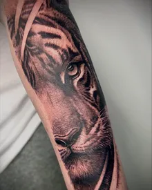 Tiger, black & grey forearm by Luke