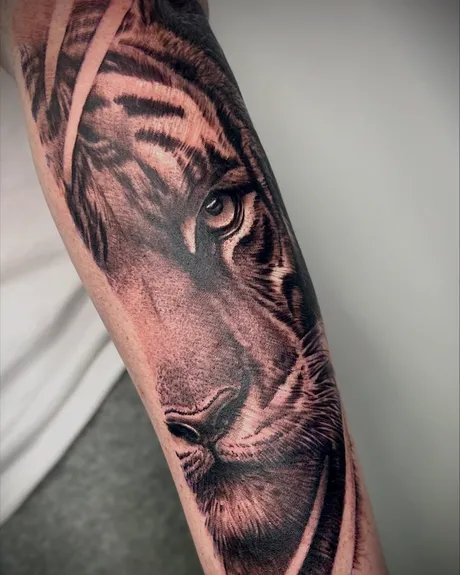 Tiger, black & grey forearm, by Luke at Inkwell