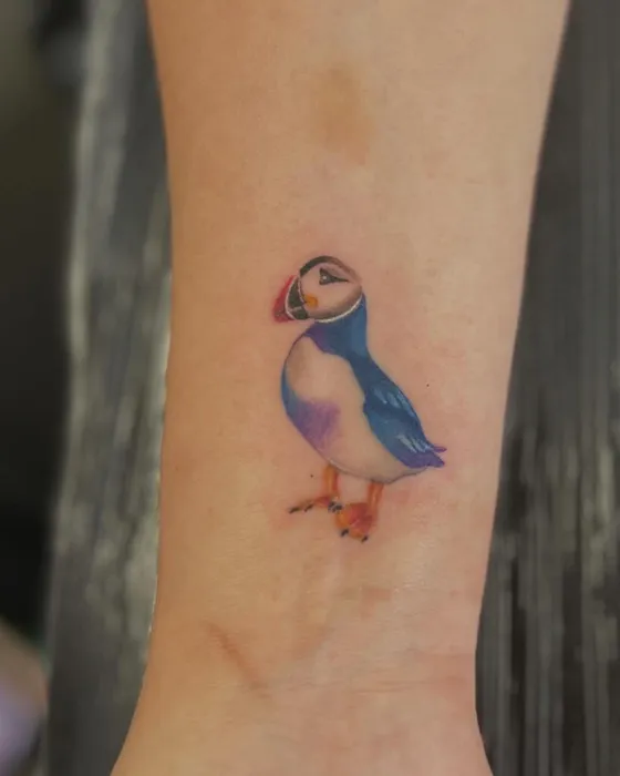 Colour puffin, tattooed by Tabitha at Inkwell Tattoo Studio, Blaydon