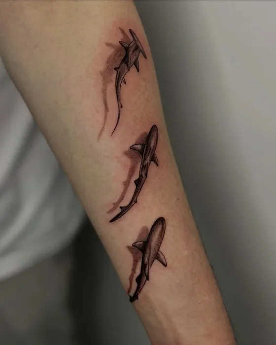 Shark trio, forearm, tattooed by Tabitha at Inkwell Tattoo Studio, Blaydon