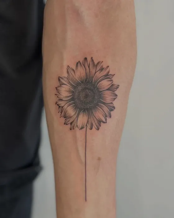 Stipple sunflower, tattooed by Tabitha at Inkwell Tattoo Studio, Blaydon
